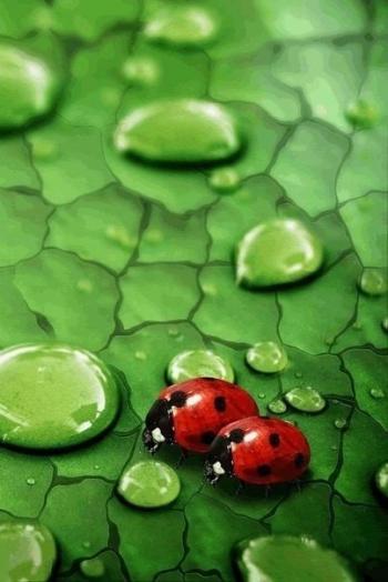 Від тебе до мене