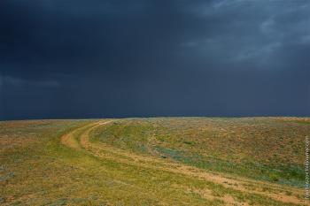 Грім над степом