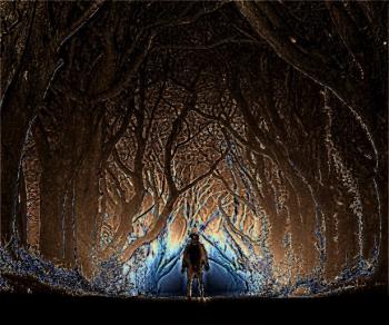 В сирих деревах…