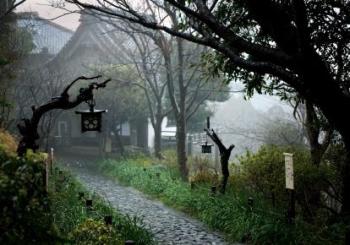 Непочуті співи