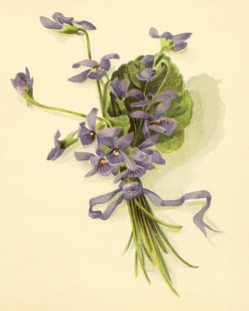 Я довго намагалася забути