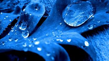 Дощ на злеті