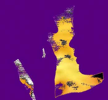 Видіння кольорові…