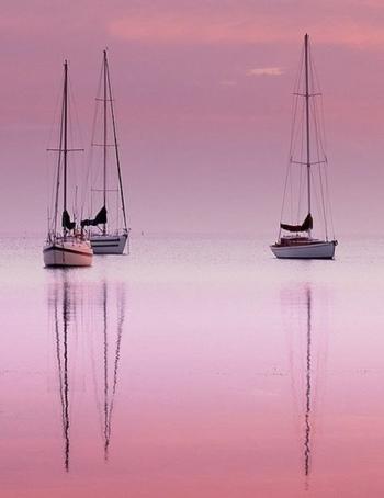 Погляд,  мов абсент