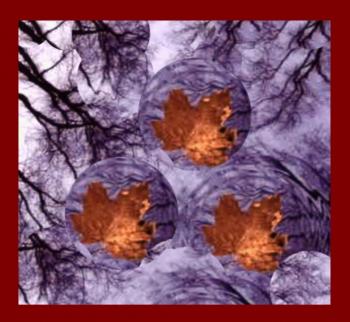 Темной ночью сменился рассвет