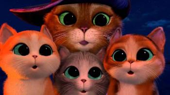 Веселі котики