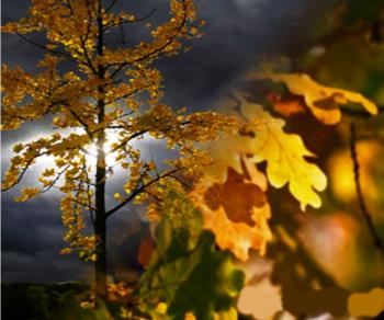 Прекрасная осень