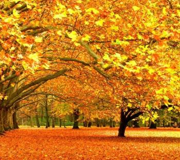 Осінній храм