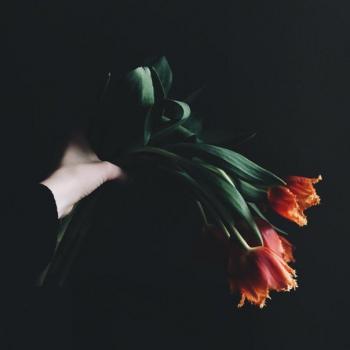 Я до тебе біжу