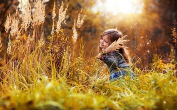 Каруселі дитинства