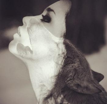 Приручи... бо зима надто близько