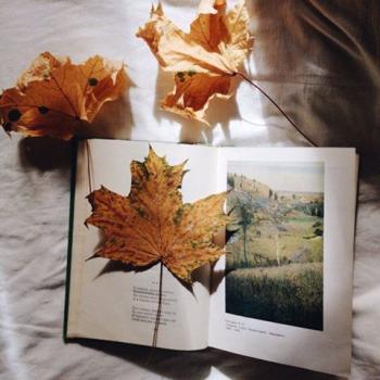 Жовтневі  акварелі