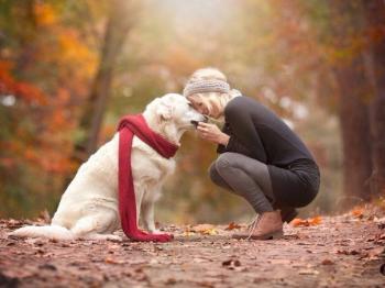 Про власне щастя й негаразди інших