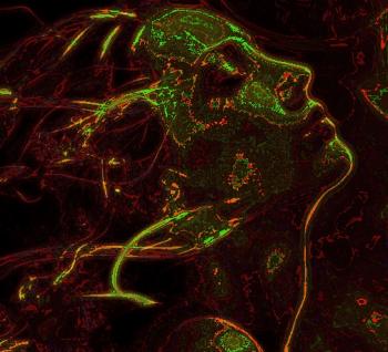 Місячний профіль