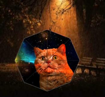 Пустунка Киця