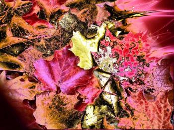 Заграва Щастя