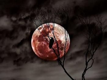 Ворожіння наприкінці жовтня