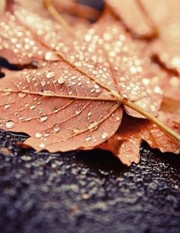 Світанкова безвихідь