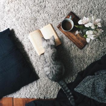 Ті,  в яких красиві очі