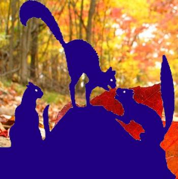 З Життя Котиків