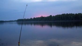 Тиша чарівна