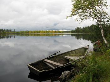Юні Колумби