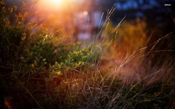 У сум’ятті сполоханих тіней