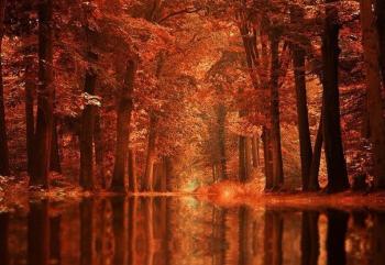 Осіння хуга