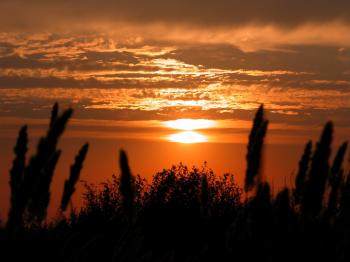 Від заходу до світання