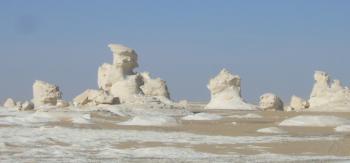 Інстинкт білійця