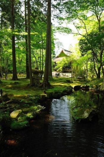 Старенький парк