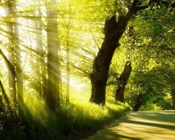 Осінь і пори року