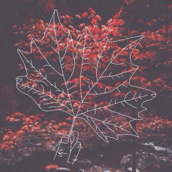 Вогняне торнадо