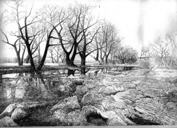 Таємниця ранньої осені