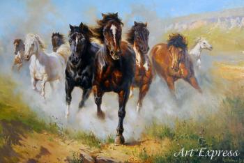 Невпокорені коні