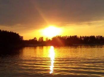 &laquo;Гойдаються плечі прозорих беріз...&raquo;