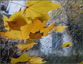 Осінній золотавий мотив