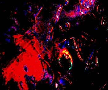 Лабіринти Взаємності