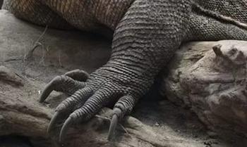 Біля умивальника