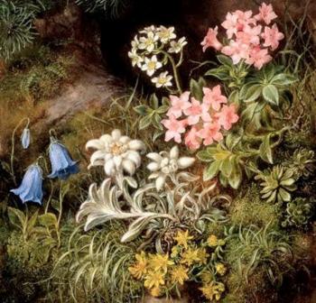 Пані Тетяні