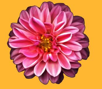 Чарівна пані Ганна