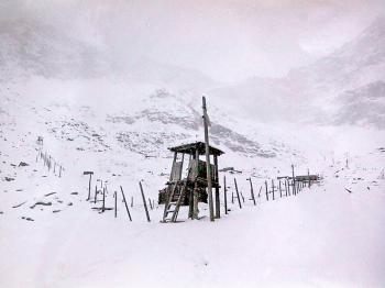 Пісня,  вирвана на волю