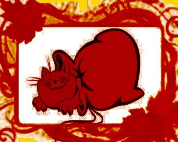 Кіт у Мішку