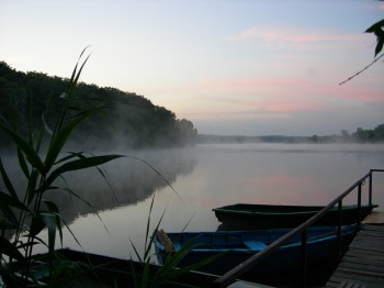 РОСЬОВА НІЧ