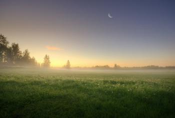 Сріблиста журба