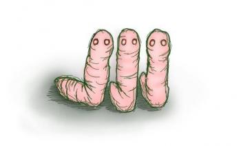 Країна-навпаки