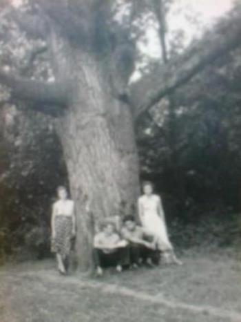 Сухий залишок