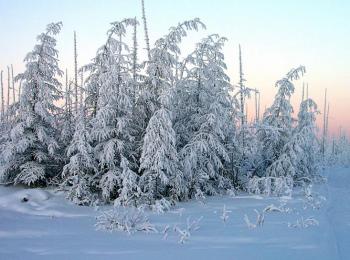 Зимовий день