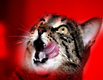 Танго «Мур - Няу»