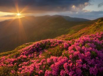 Дріб’язкова історія